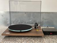 Rega P-3 50th Anniversarry Edition in Walnuss