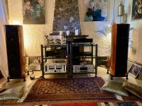 Transparent Audio Reference MM Speaker Cables