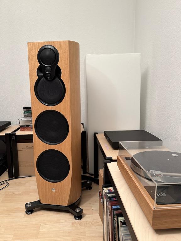 LINN KLIMAX 350 Passive -PREIS nochmal REDUZIERT-