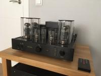 ALLNIC T-2000 amplifier