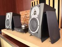 Dynaudio MC-15