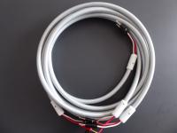 7N - S 2000 Anniversario / 99, 99999 / Stressfree