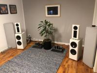 ProRaum Pro 20D Magnetostatische HighEnd Lautsprecher