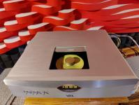 Passion CDT450 CD transport