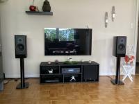 Dynaudio contour 20 schwarz  			