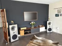 Avantgarde acoustic zero 1 TA