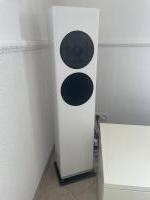 Manger P1 High-End Reference Speakers