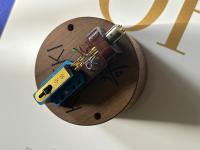 Blue - Goldspot