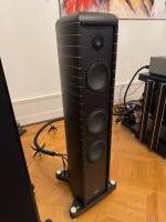 DARC 100 CL DV mit Big Foot (Paar)