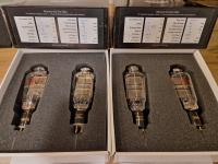 4x EML 300B MESH Plate (2 pairs)