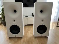 Zero TA Passiv Lautsprecher mit aktivem Bass 104db Wirkungsgrad