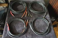 Genuine Lexus speaker cable 96 Strands - True Bi-Wire