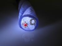 Signature Genesis Silver Spiral