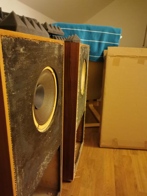 Philips Neckermann expon. Horn Philips Ad 9710 Alnico (9019503462