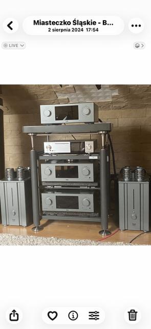 T + A M 40 HV Mono Power Amplifier Anniversary Edition