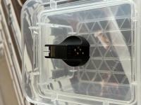 Cadenza Black