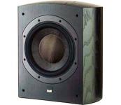 ASW 825 - Esche schwarz