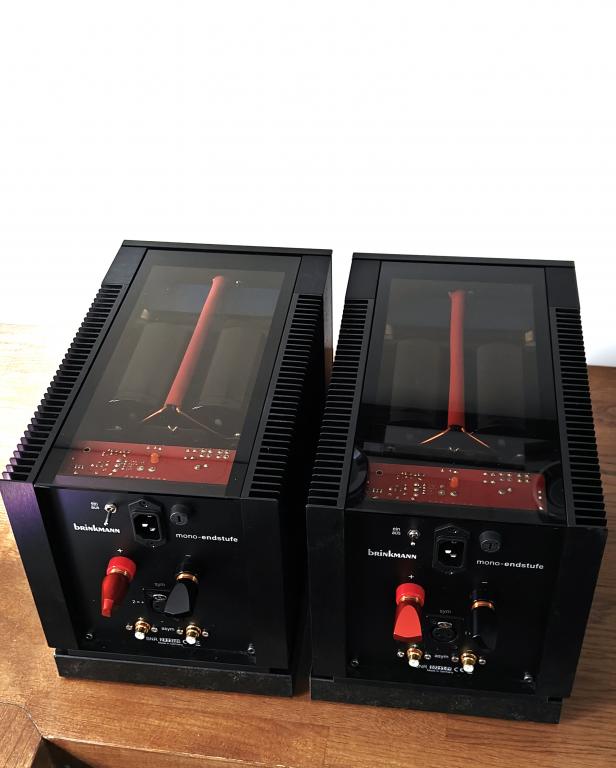 Brinkmann Audio Brinkmann Mono amplifiers (pair) (9776245985