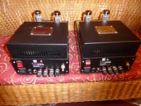 Sterling Limited 20th Anniversary Edition KT 88 Parallel Single Ended Monoblöcke