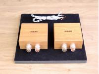 Corporation RSP-AZ9EX high end audio Real Sound Processors