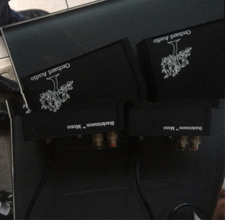 Orchard Audio Starkrimson Monoblock Amp (9959084346) Secondhand