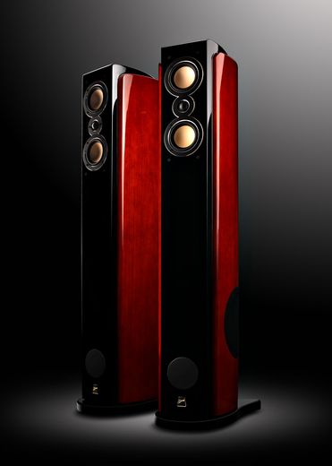 Swans M6002 - Genuß für Ohren und Augen Swans M6002 - Design for musc-lovers