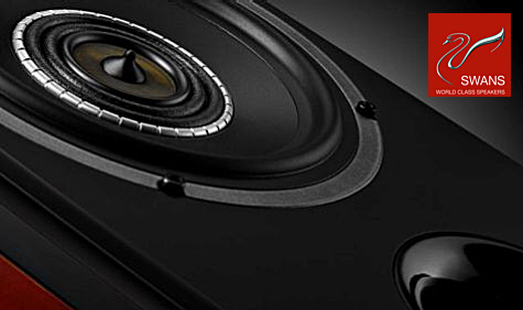 SWANS TS6, der HighEnd-Monitor SWANS TS6, Triaxial-Chassis mit Bändchenhochtöner