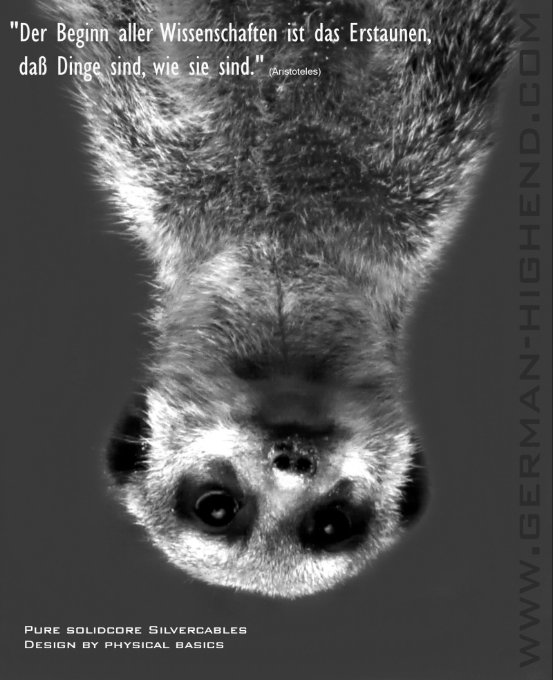 Die wöchentliche Kabelwerbung Supie Kabel