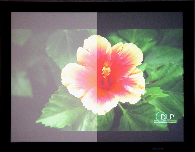 High-End Leinwand Stewart „Firehawk“ Dies ist keine Fotomontage (Originalfoto)