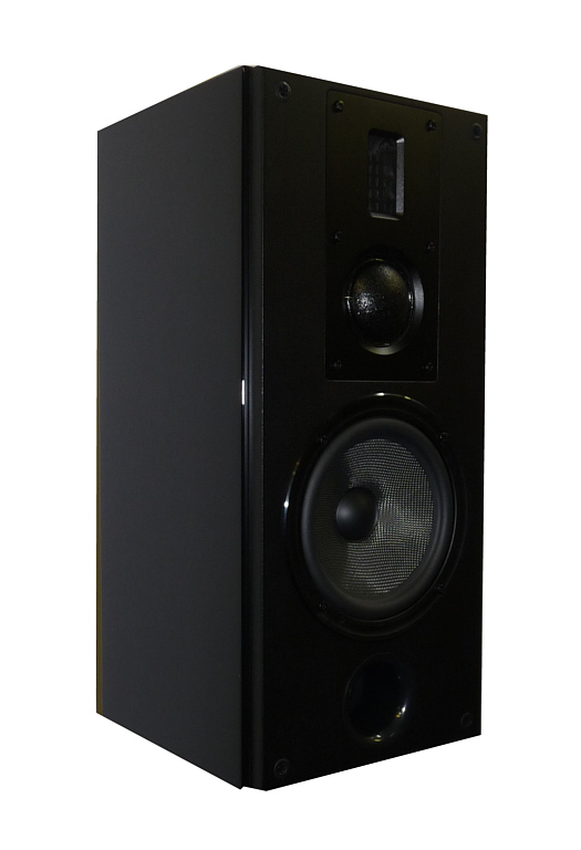 Wieder ein Knaller von SWANS Swans RM600 Monitor Lautsprecher