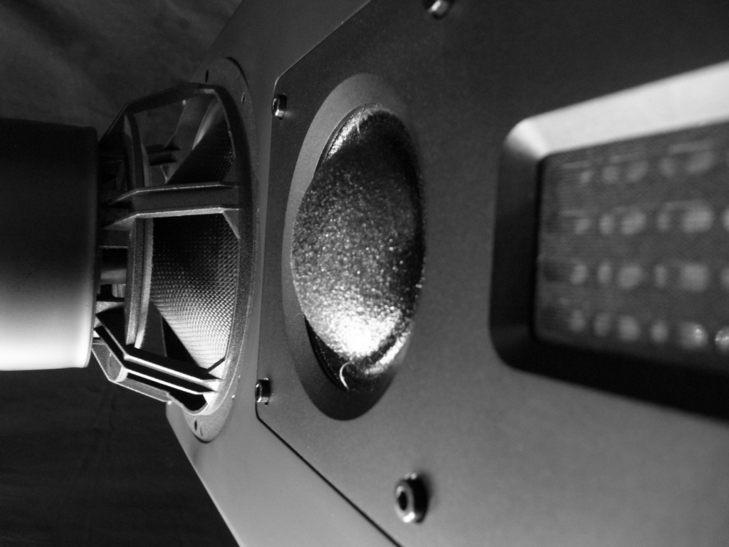 Der nächste Referenztitel für die Swans RM600