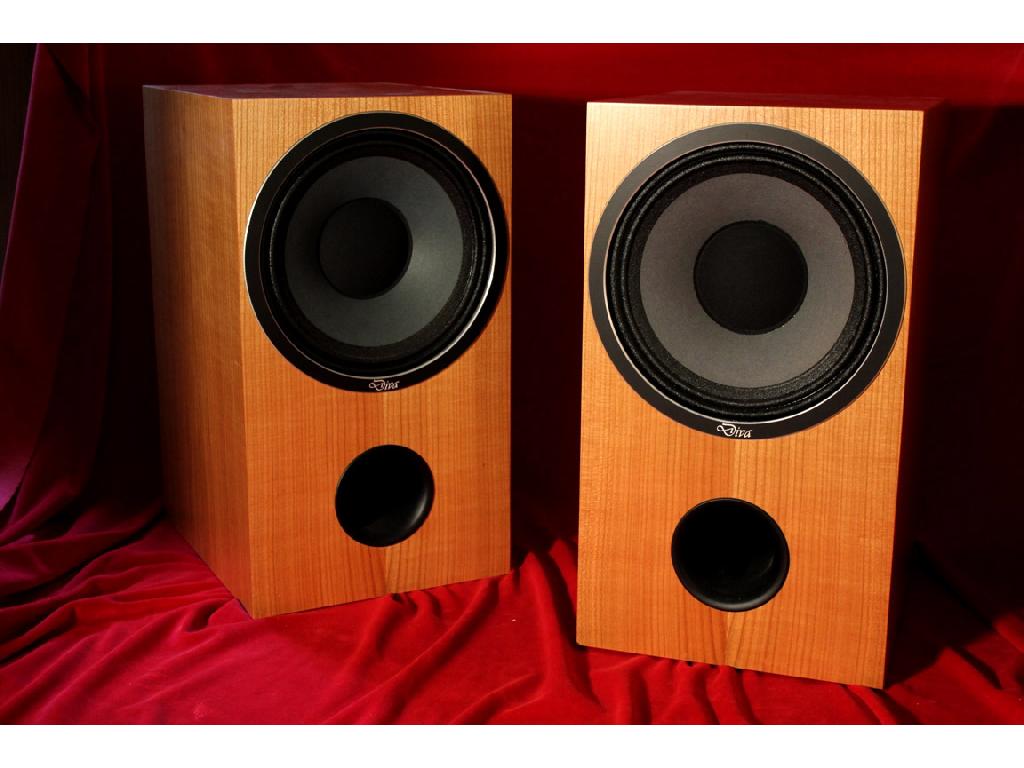 Die Neue WLM Diva Monitor MKII 