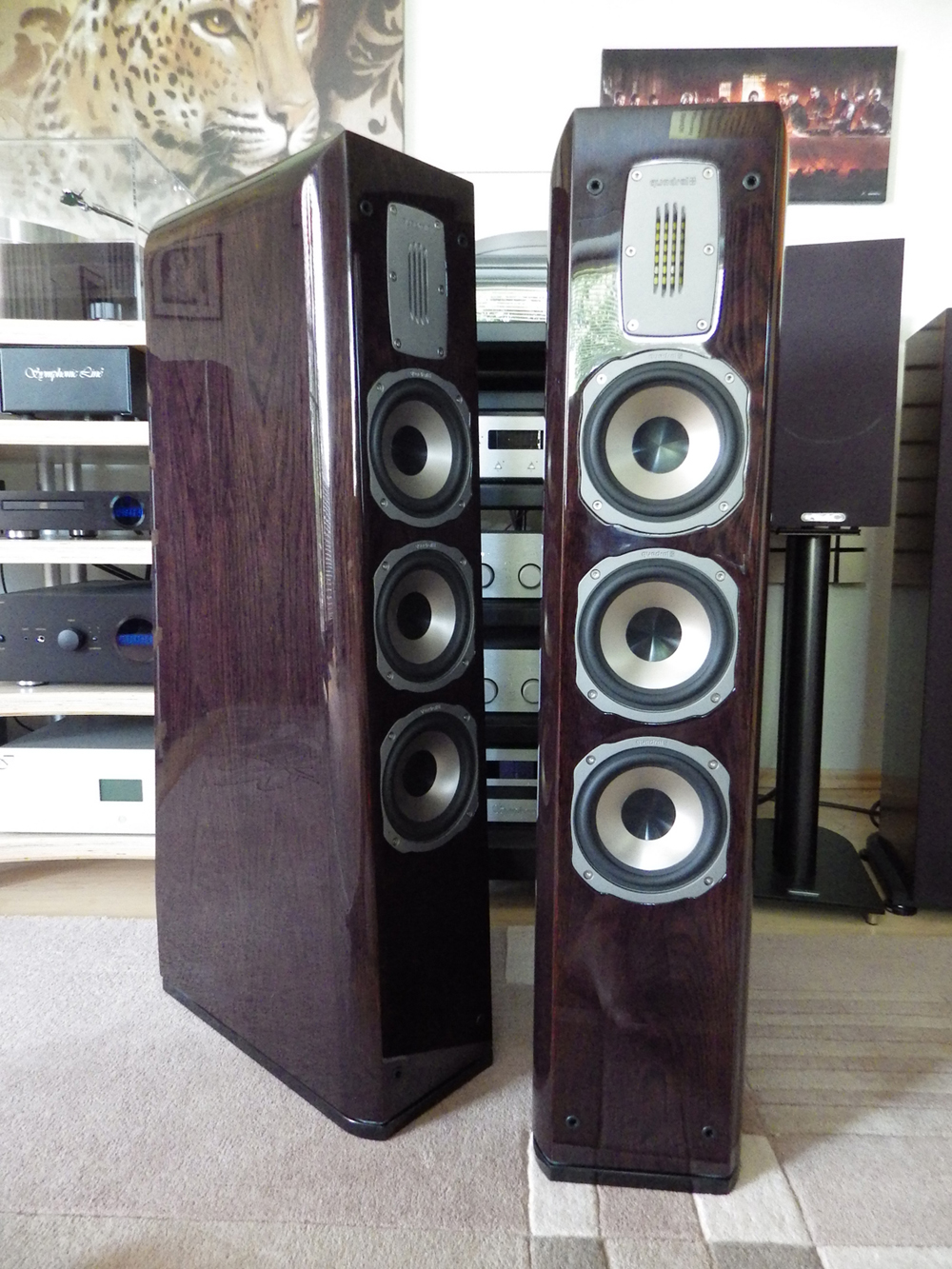 Aurum Wotan VIII in der Sonderfarbe Eiche Choco Hochglanz 