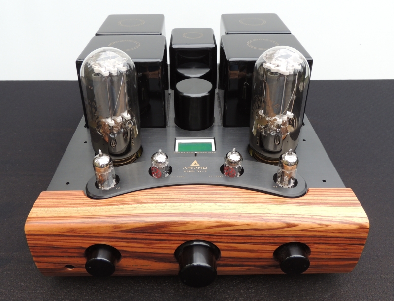 Neu! Ariand High-End Röhrenverstärker Ariand T845 S / SII