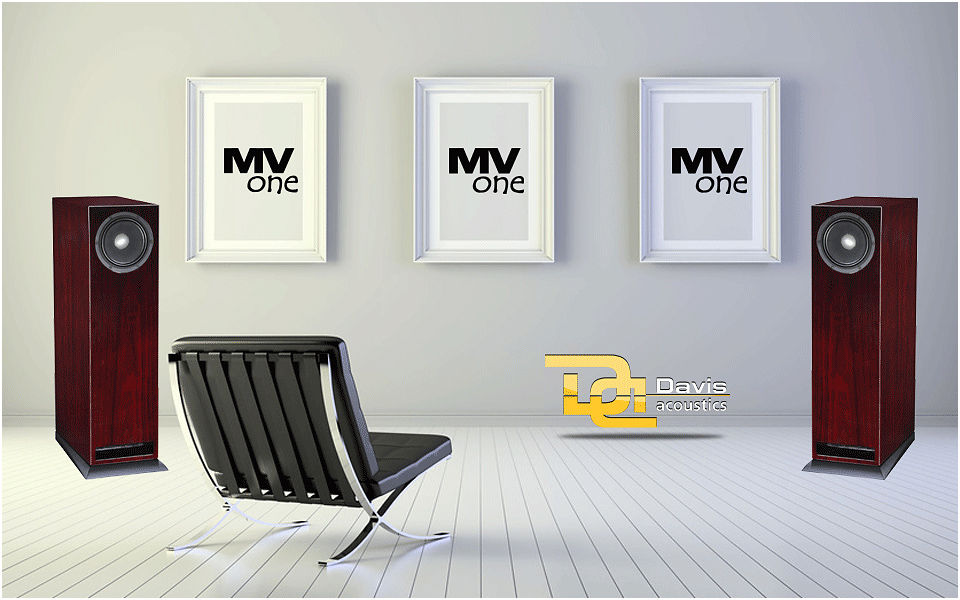 Davis Acoustics MV one Davis acoustics Breitband-Standlautsprecher MV one