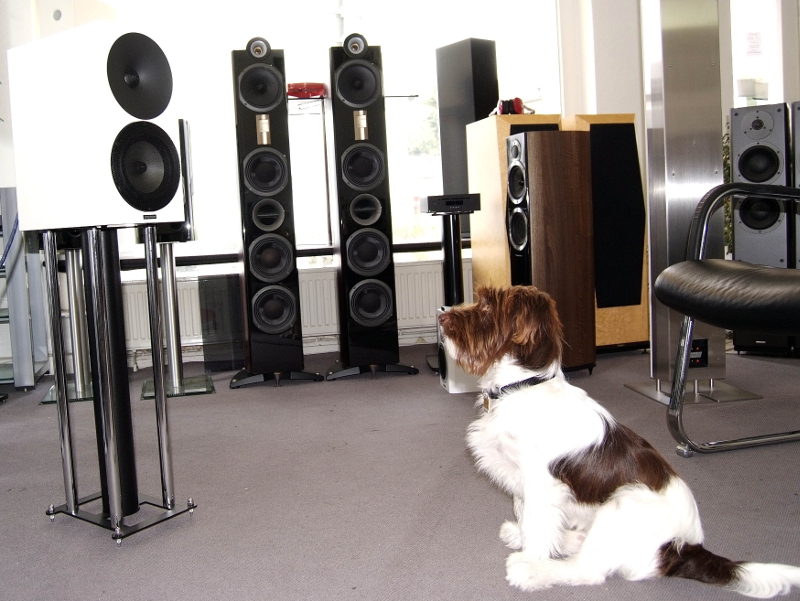 Ernsthafte Musikhörer gesucht!