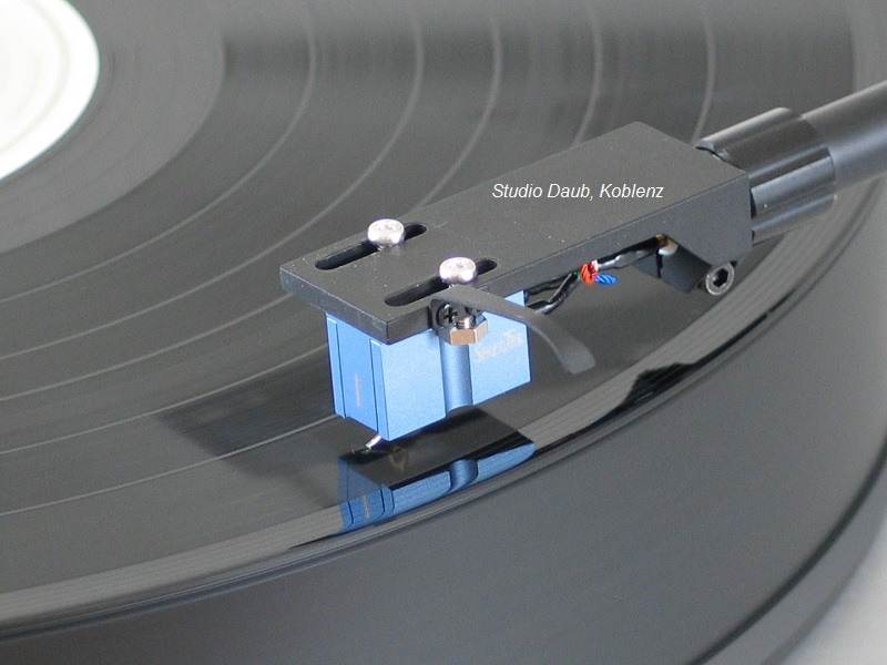 SHELTER Neu im Sortiment 