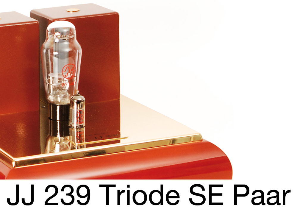 JJ Electronic 239 Triode SE Paar Wunderschöne Röhrenmonos!