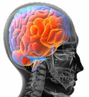 Handy verschlechtert unsere Wahrnehmung !