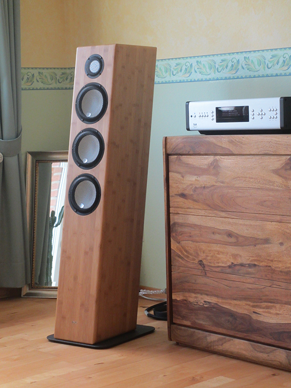 yAudio Club Treffen am 18.11.2017 in Harsum myro Wild Thing II