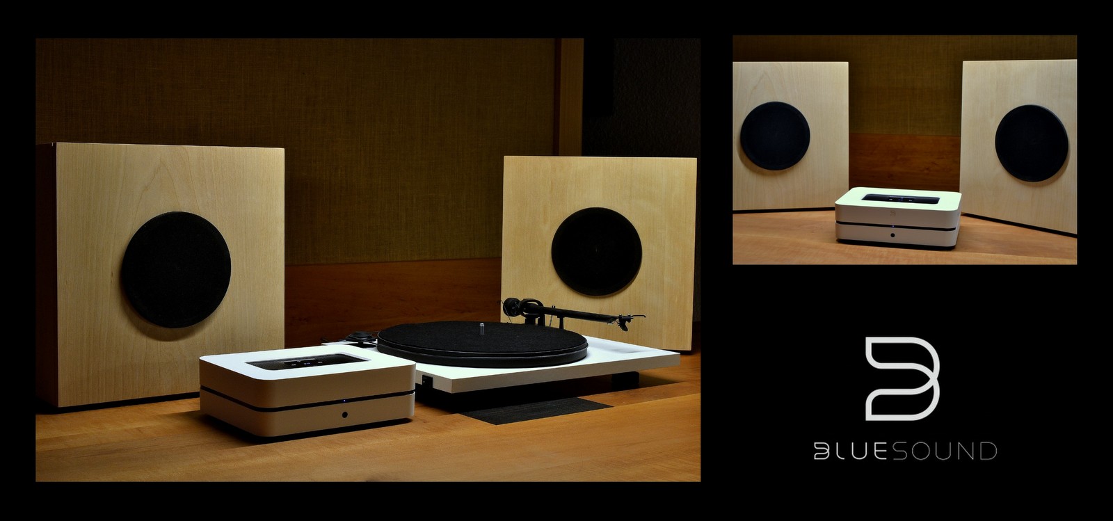 Gallug Massivholzlautsprecher / Bluesound Powernode 2