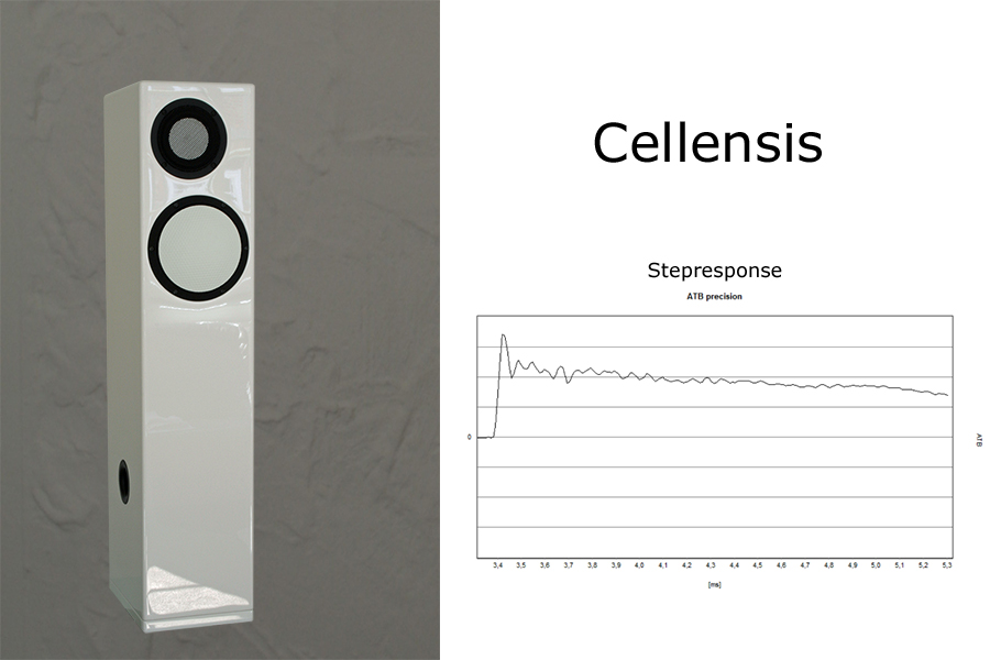 Cellensis - Neues aus Celle Zeitrichtig von Anfang an!