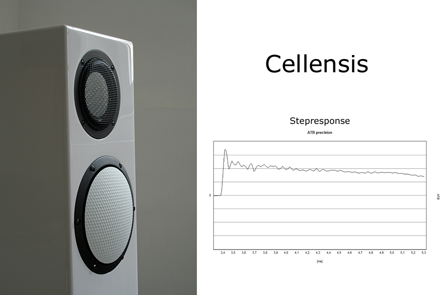 Cellensis - Neues aus Celle Zeitrichtig von Anfang an!
