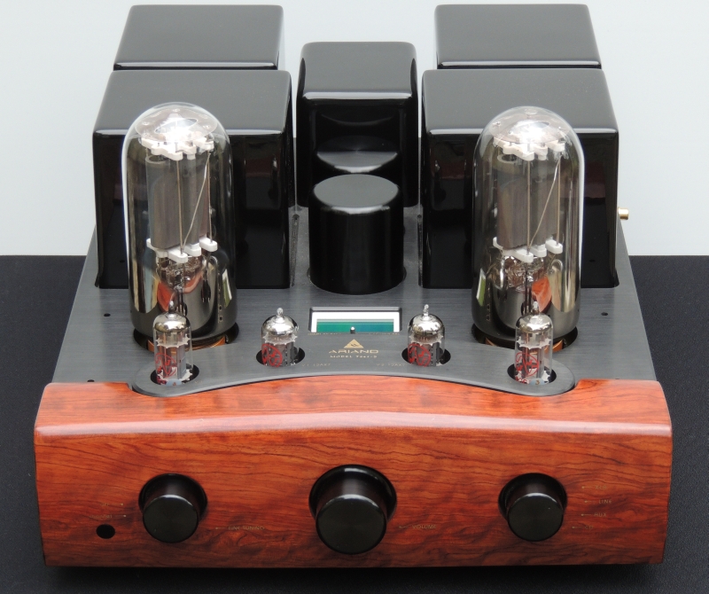 High - End Triode Ariand T 845 S