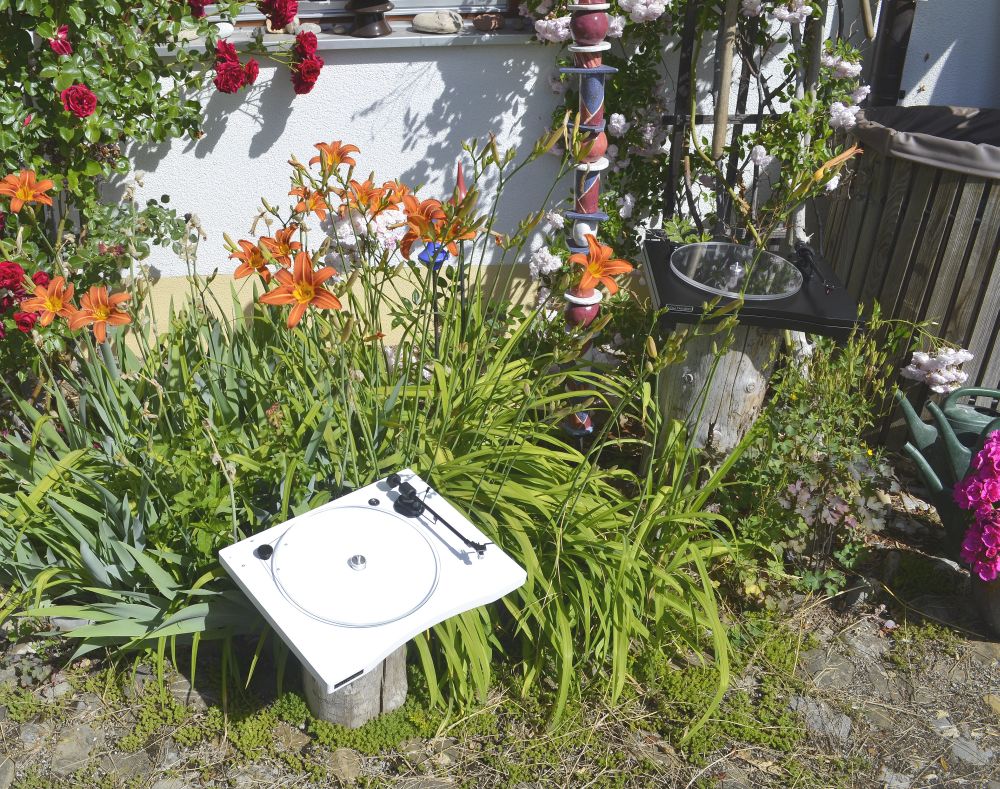 New Horizon Plattenspieler - Jetzt bei uns!