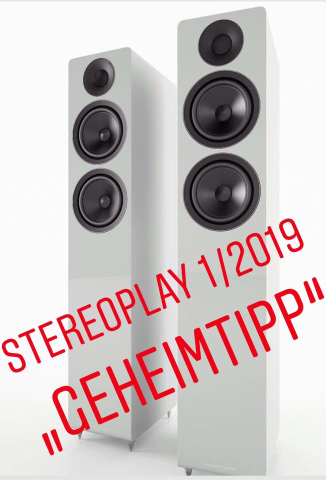 ACOUSTIC ENERGY - Standlautsprecher Geheimtipp ? Mehr als nur ein Geheimtipp bei Standlautsprecher ? Acoustic Energy AE 309