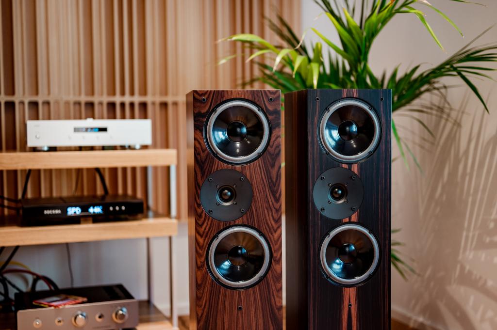 Living Voice IBX-R4 & IBX-RW4