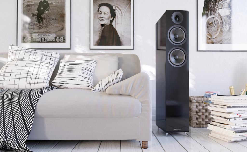 ACOUSTIC ENERGY AE 309