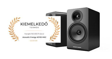 Brillanter Lautsprecher: ACOUSTIC ENERGY AE 100²  Brillianter Kompaktlautsprecher Acoustic Energy AE 100²