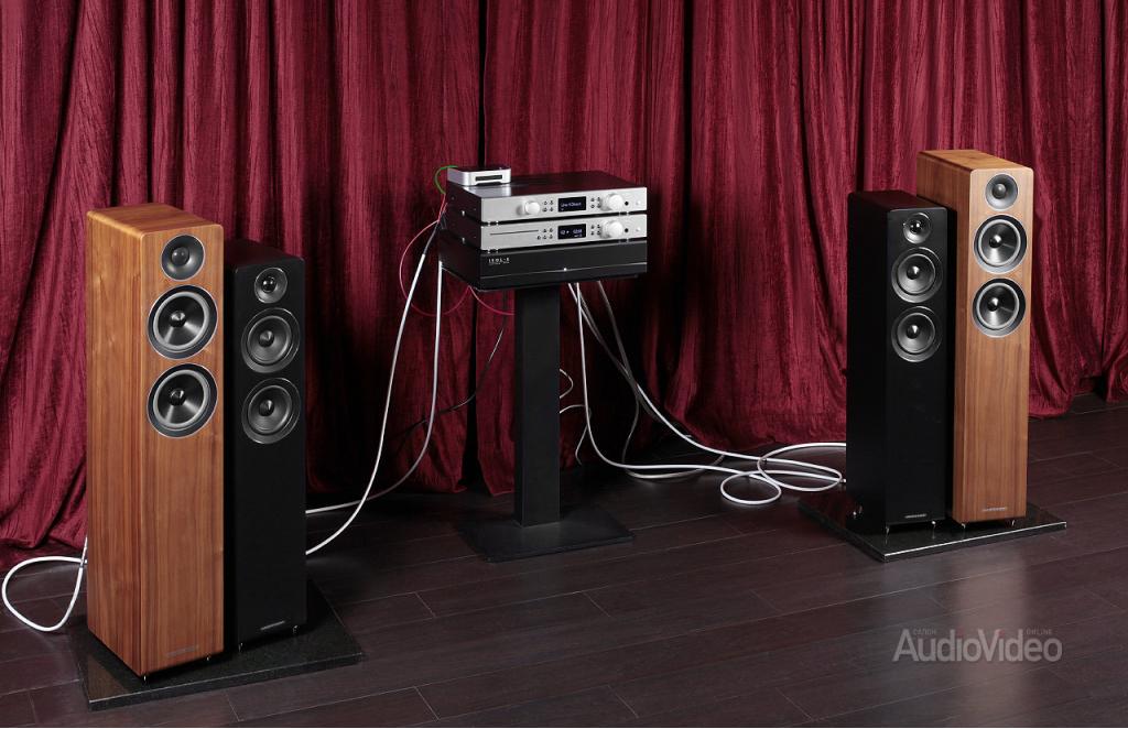 ACOUSTIC ENERGY AE 309 bei SalonAudioVideo - Standlautsprecher Acoustic Energy AE 309 bei SalonAudioVideo